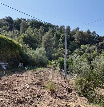 Foto annuncio 16