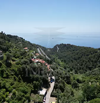 Foto annuncio 23