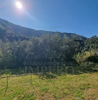 Foto annuncio 26