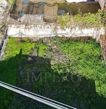 Foto annuncio 28