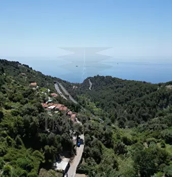 Foto annuncio 28