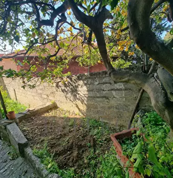 Foto annuncio 29