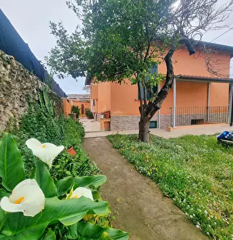 Foto annuncio 1
