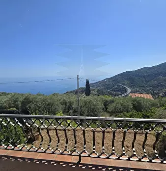 Foto annuncio 32