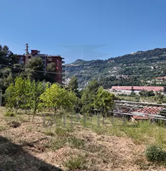 Foto annuncio 25