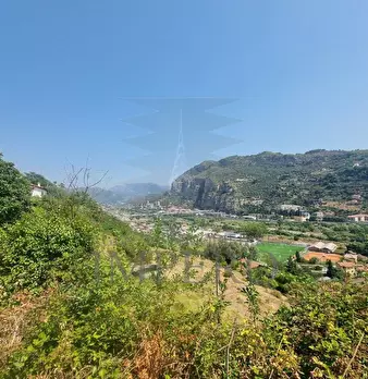 Foto annuncio 11