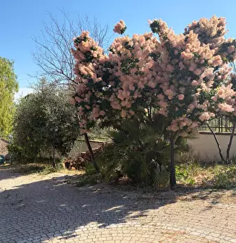Foto annuncio 19