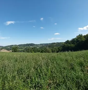 Foto annuncio 47