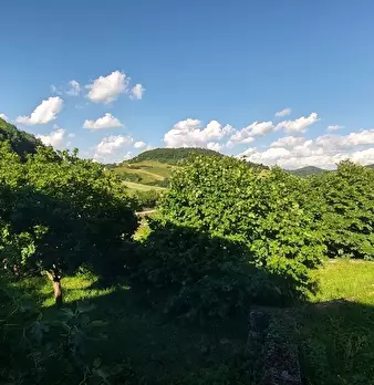 Foto annuncio 44