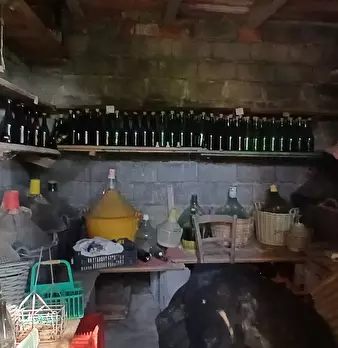 Foto annuncio 32