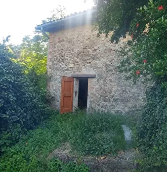 Foto annuncio 43