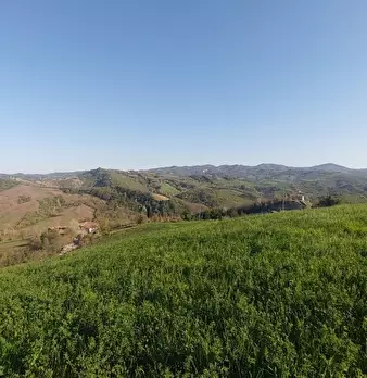 Foto annuncio 7