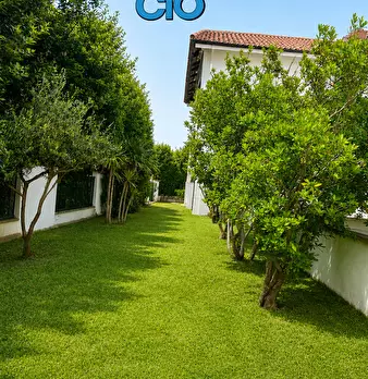 Foto annuncio 24