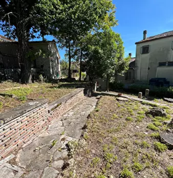 Foto annuncio 28