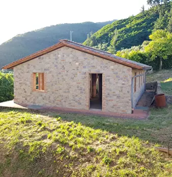Foto annuncio 6