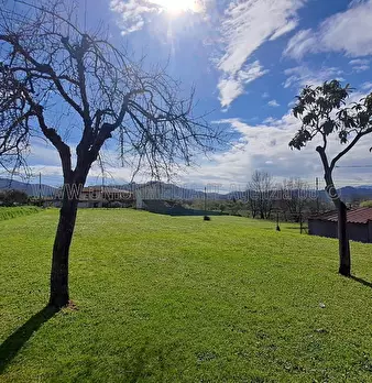 Foto annuncio 6