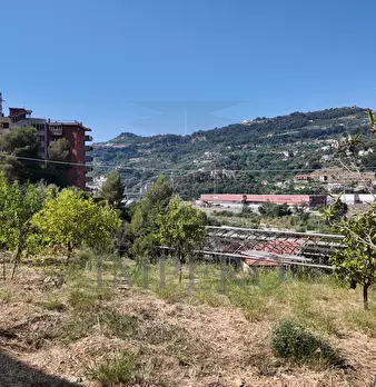 Foto annuncio 24