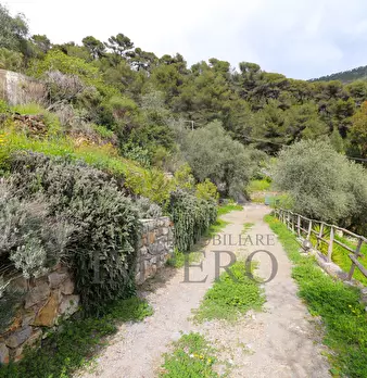 Foto annuncio 39