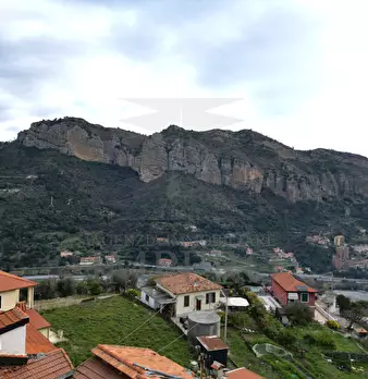 Foto annuncio 25