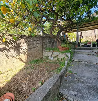 Foto annuncio 31