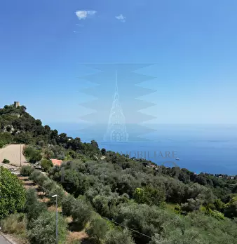 Foto annuncio 43