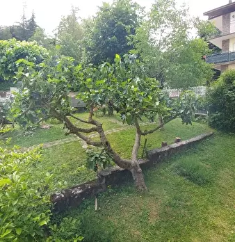 Foto annuncio 34