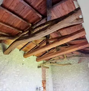 Foto annuncio 18
