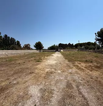 Foto annuncio 5