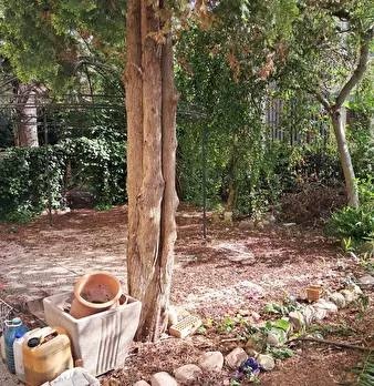 Foto annuncio 19