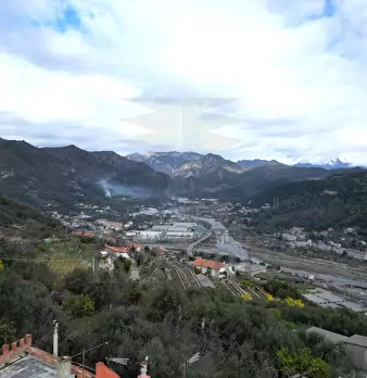 Foto annuncio 28