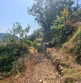 Foto annuncio 4