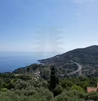 Foto annuncio 45