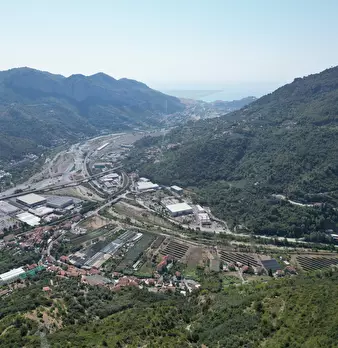 Foto annuncio 28