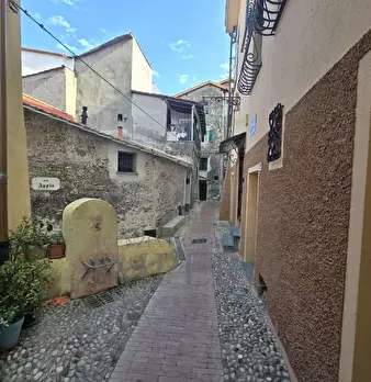 Foto annuncio 14