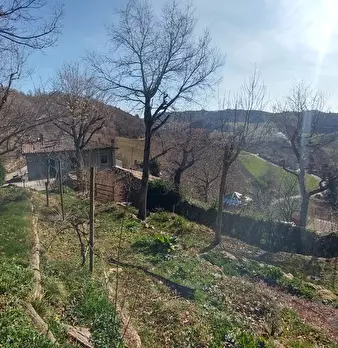 Foto annuncio 31