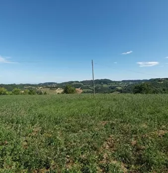 Foto annuncio 41