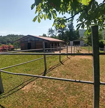 Foto annuncio 39