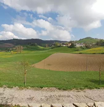 Foto annuncio 42