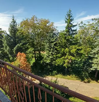 Foto annuncio 25