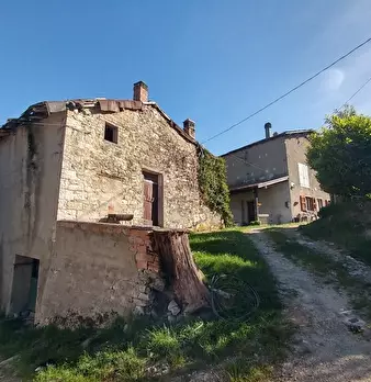 Foto annuncio 5