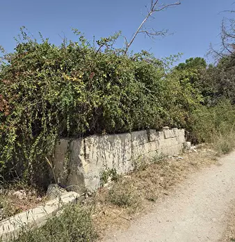 Foto annuncio 3