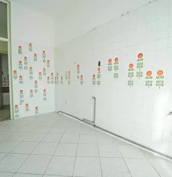Foto annuncio 6