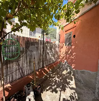 Foto annuncio 33