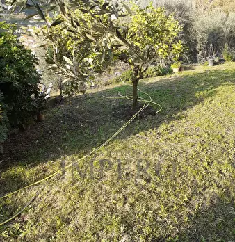 Foto annuncio 20