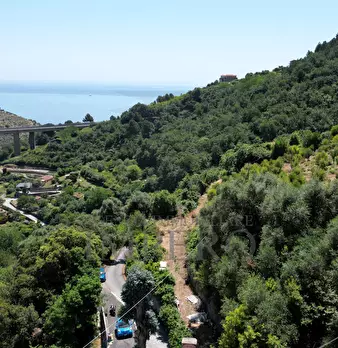 Foto annuncio 13