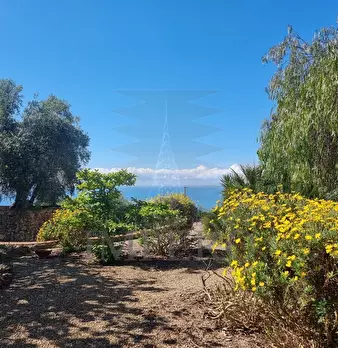 Foto annuncio 31
