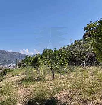 Foto annuncio 14