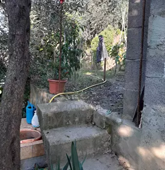 Foto annuncio 23