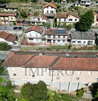Foto annuncio 49