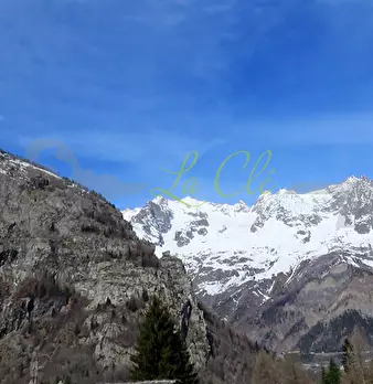 Foto annuncio 18